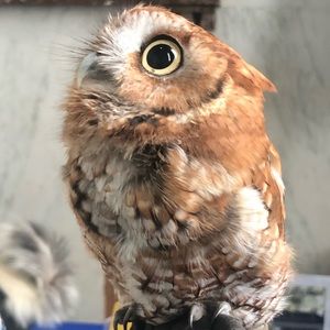 Meet your Posher, Jon